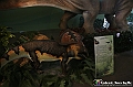 VBS_0901 - Dinosauri. Terra dei giganti